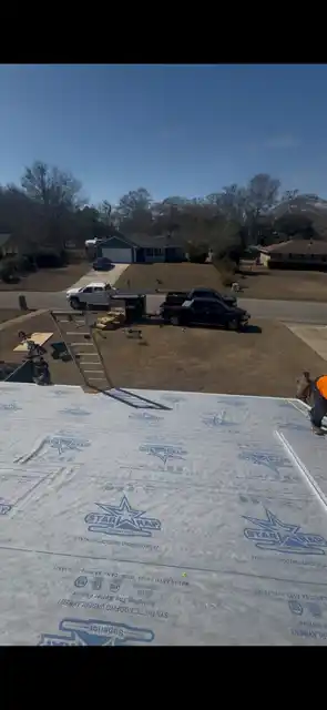 Before pociask — granule loss hail damage